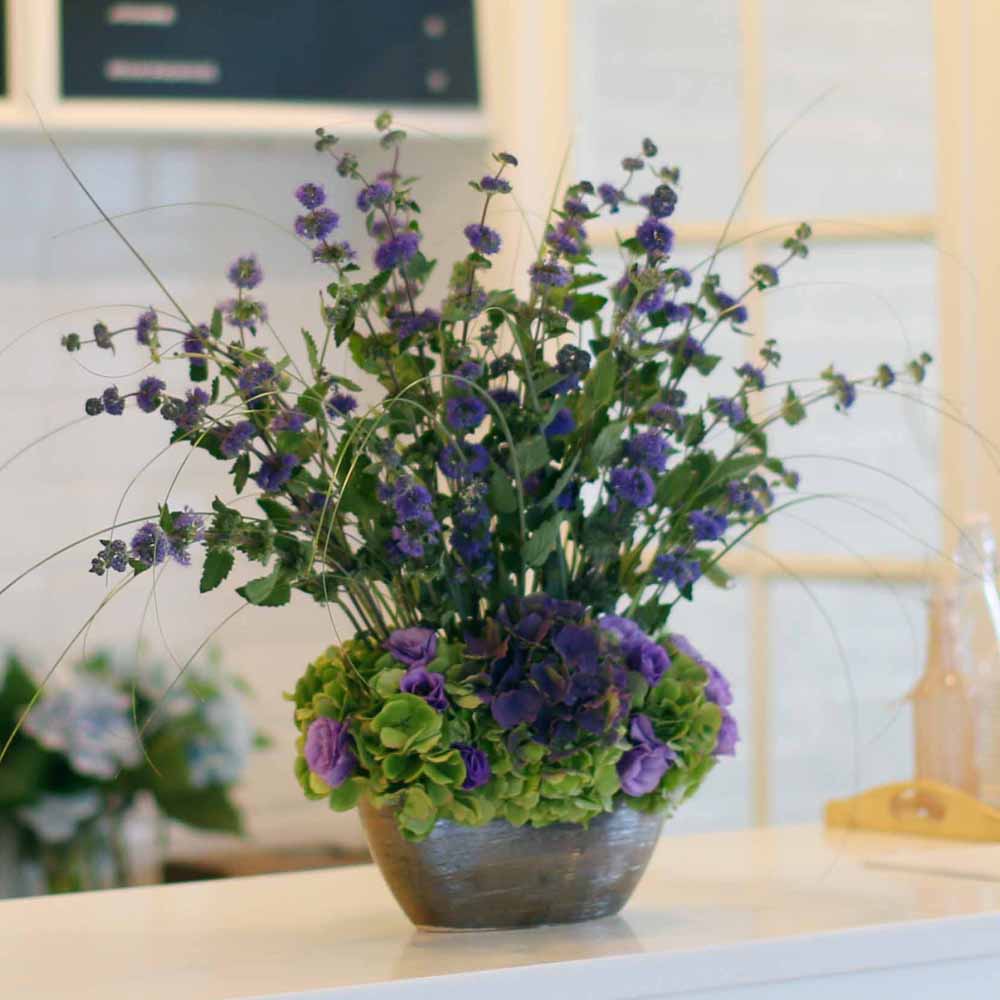 14 Fall  Flower Arrangements Blooming With - The calamint  ɹ