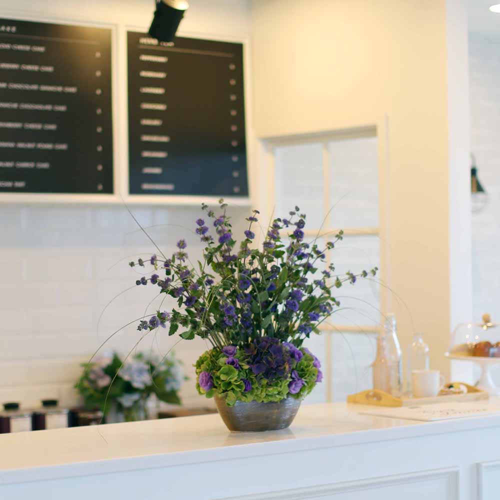 14 Fall  Flower Arrangements Blooming With - The calamint  ɹ