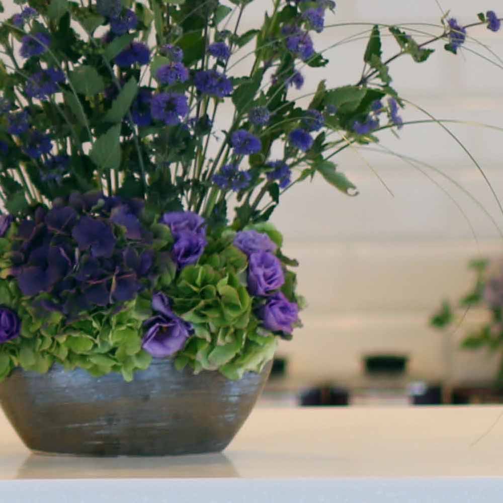 14 Fall  Flower Arrangements Blooming With - The calamint  ɹ