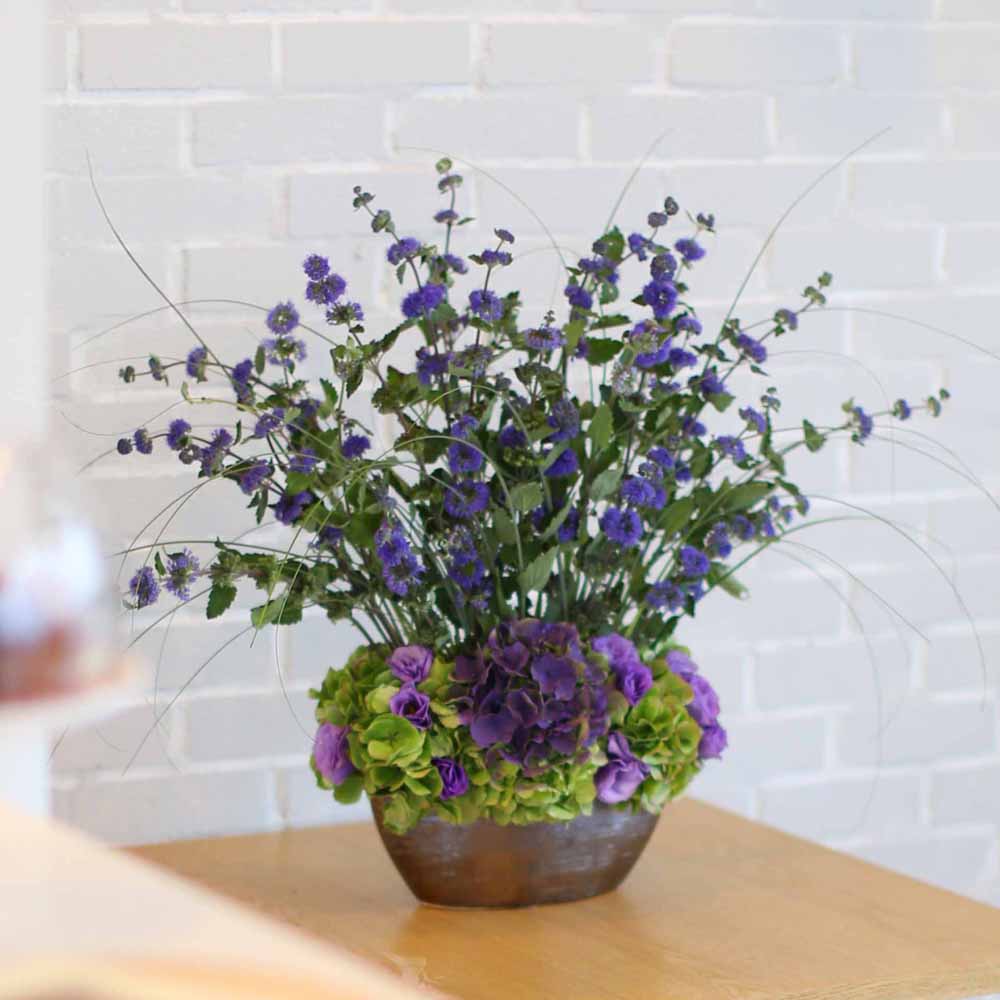 14 Fall  Flower Arrangements Blooming With - The calamint  ɹ