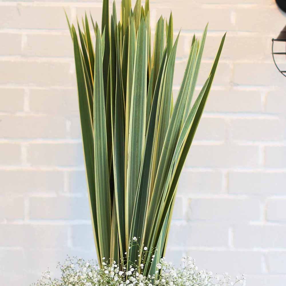 14 Fall  Flower Arrangements Blooming With - The Suvi  ɹ