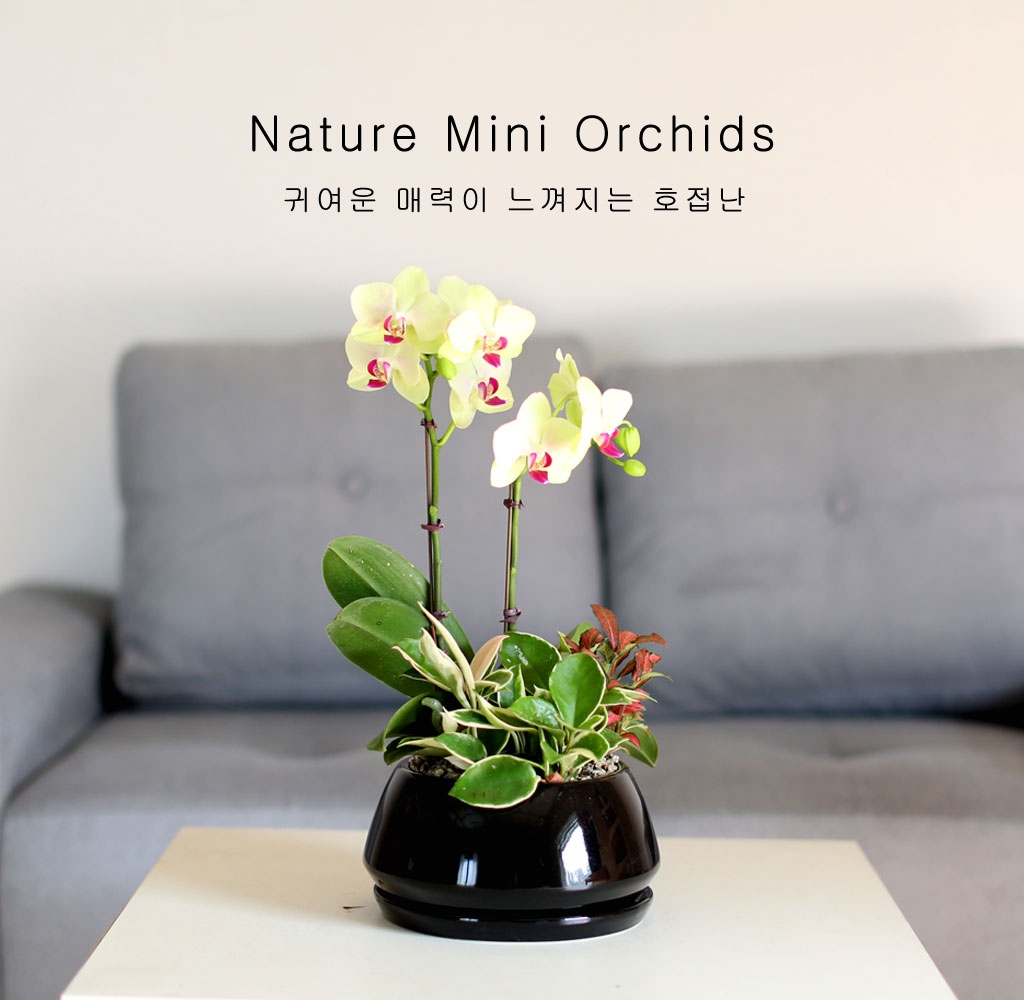    -  ȭ ȣ () [ȭǰ]  ɹ