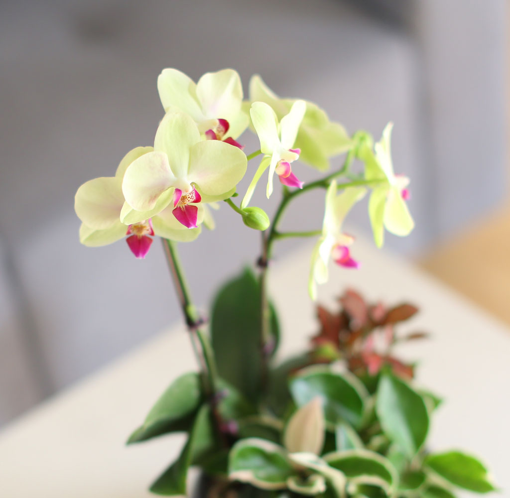    -  ȭ ȣ () [ȭǰ]  ɹ