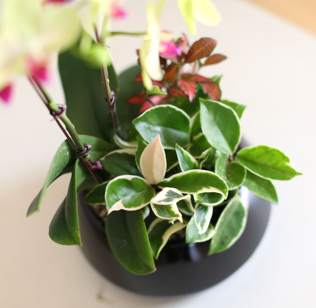    -  ȭ ȣ () [ȭǰ]  ɹ