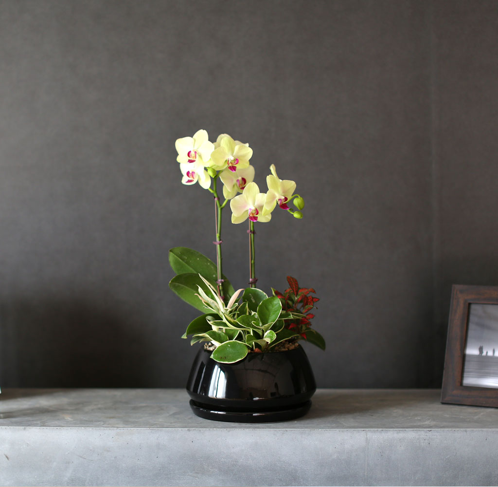    -  ȭ ȣ () [ȭǰ]  ɹ