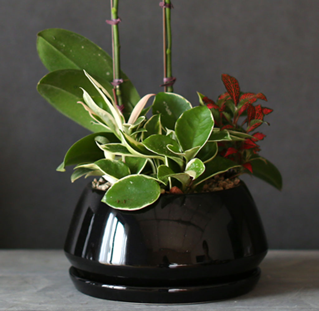    -  ȭ ȣ () [ȭǰ]  ɹ