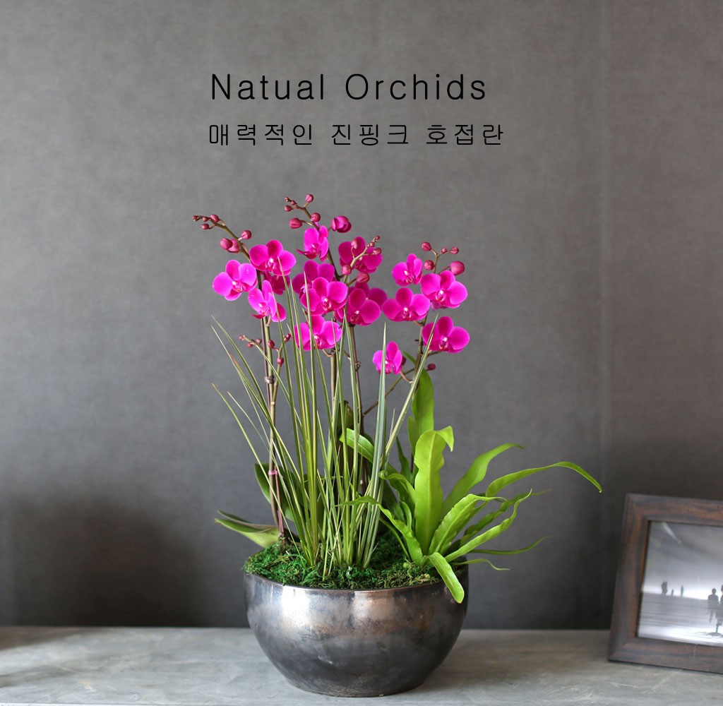 °¨»çÀÇ ¸¶À½À» ´ã¾Æ - ²ÉÀÙÀÌ ¿¹»Û ¸¸ÃµÈ« ²ÉÁý ²É¹è´Þ