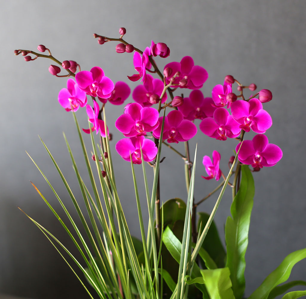 °¨»çÀÇ ¸¶À½À» ´ã¾Æ - ²ÉÀÙÀÌ ¿¹»Û ¸¸ÃµÈ« ²ÉÁý ²É¹è´Þ