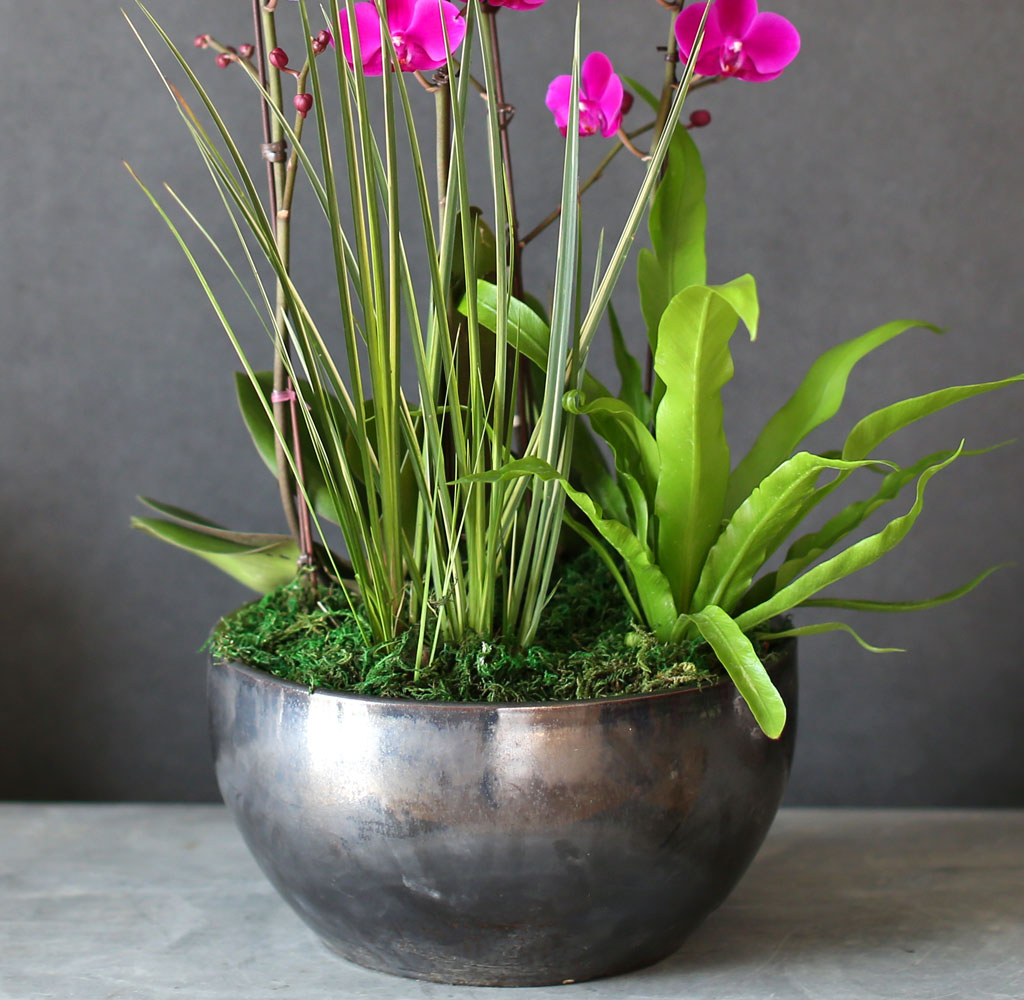 °¨»çÀÇ ¸¶À½À» ´ã¾Æ - ²ÉÀÙÀÌ ¿¹»Û ¸¸ÃµÈ« ²ÉÁý ²É¹è´Þ