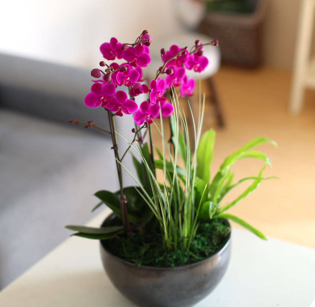 °¨»çÀÇ ¸¶À½À» ´ã¾Æ - ²ÉÀÙÀÌ ¿¹»Û ¸¸ÃµÈ« ²ÉÁý ²É¹è´Þ