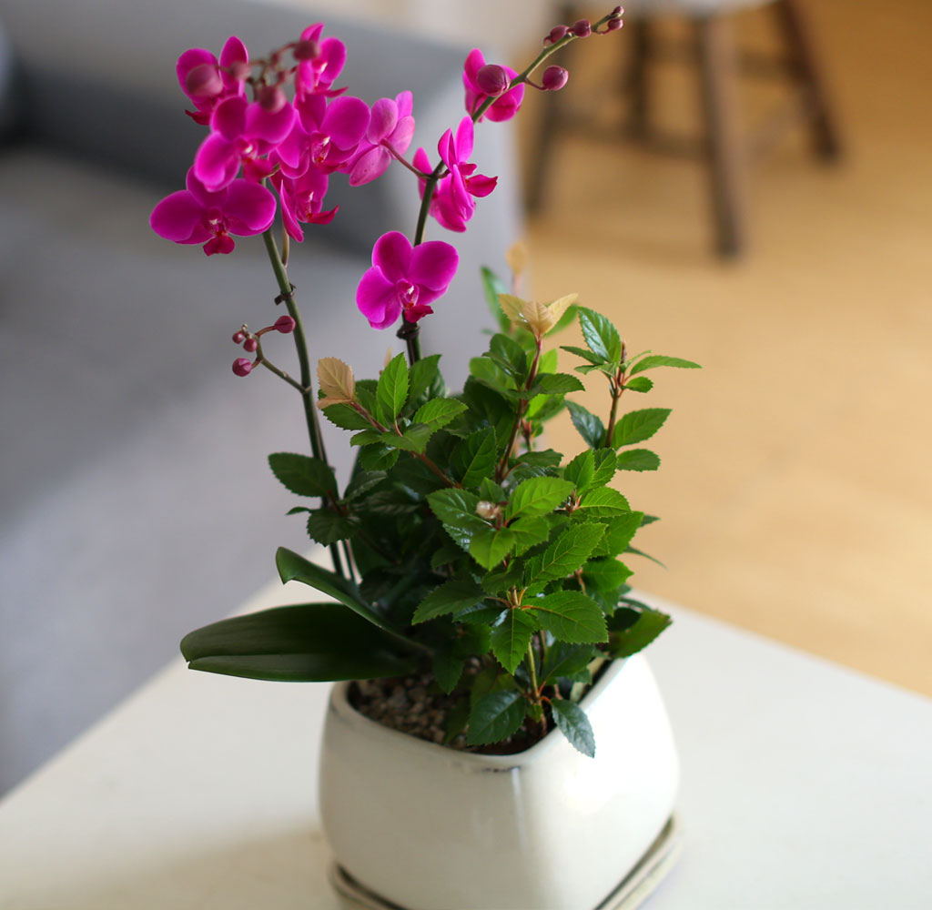    - ȭƮ ȭ õȫ[ȭ⺯]  ɹ