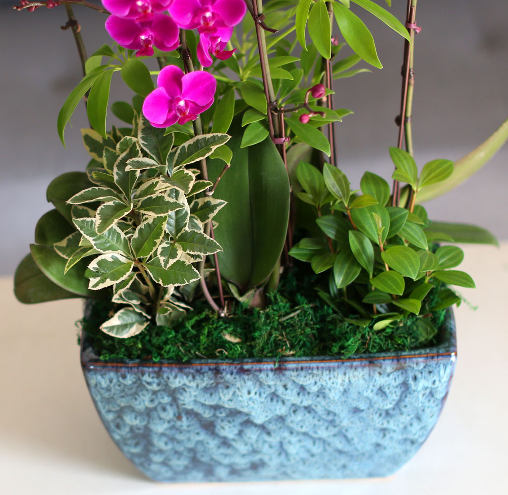    - ǳ ȭ ŷ õȫ [ȭ⺯}  ɹ