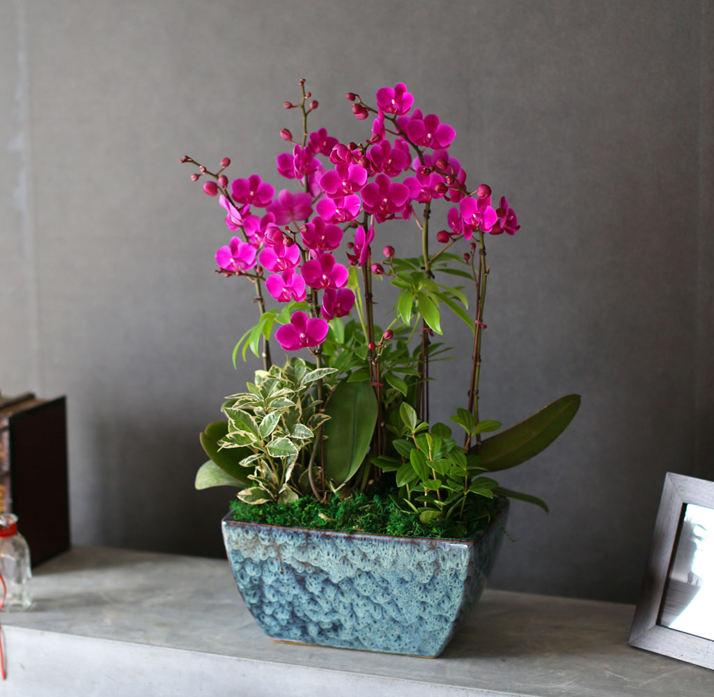    - ǳ ȭ ŷ õȫ [ȭ⺯}  ɹ