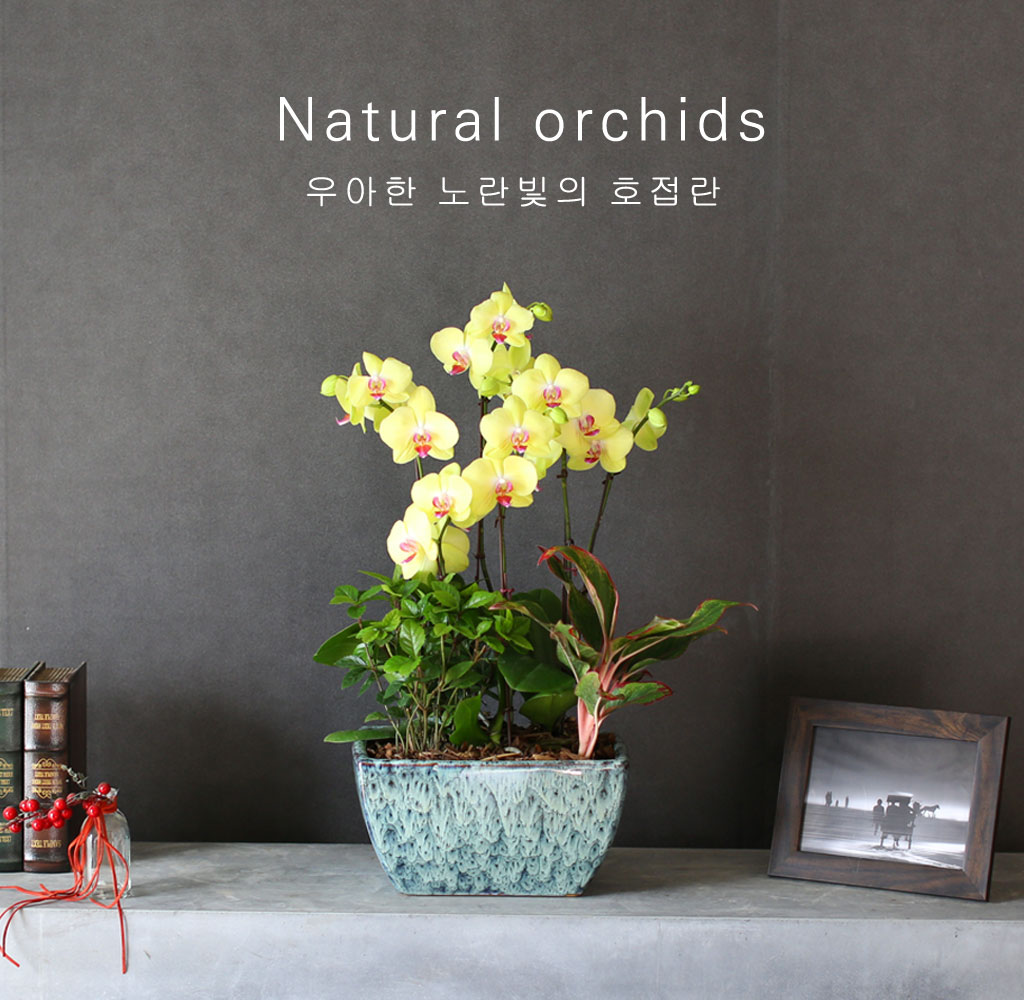    -    ȣ  *ȭ⺯˴ϴ*