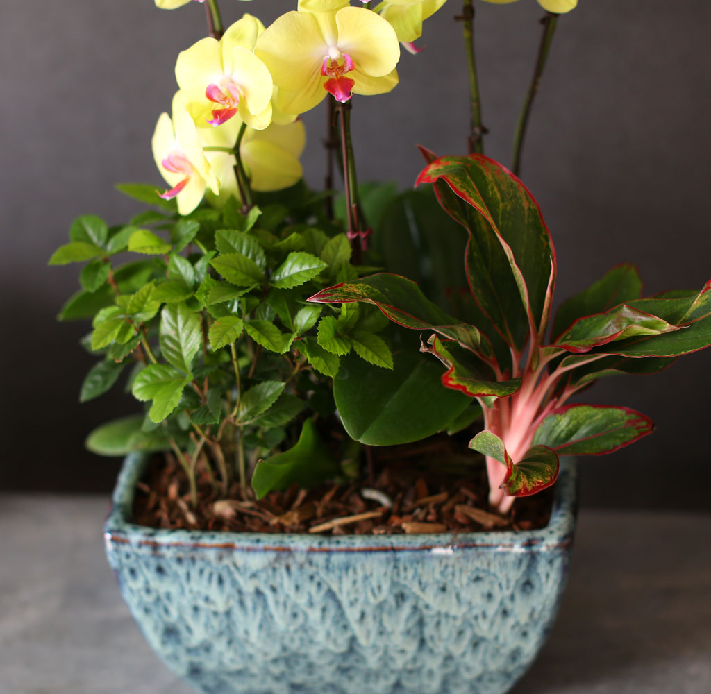    -    ȣ  *ȭ⺯˴ϴ*