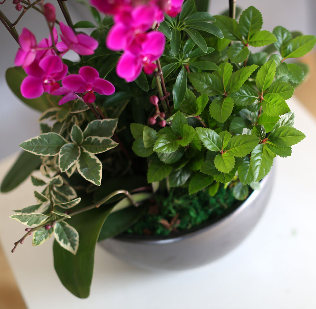 [����]�����Ǹ����� ��� - ���� �αⰡ ���� ����� ��õȫ(ȭ�⺯��) ���� �ɹ��