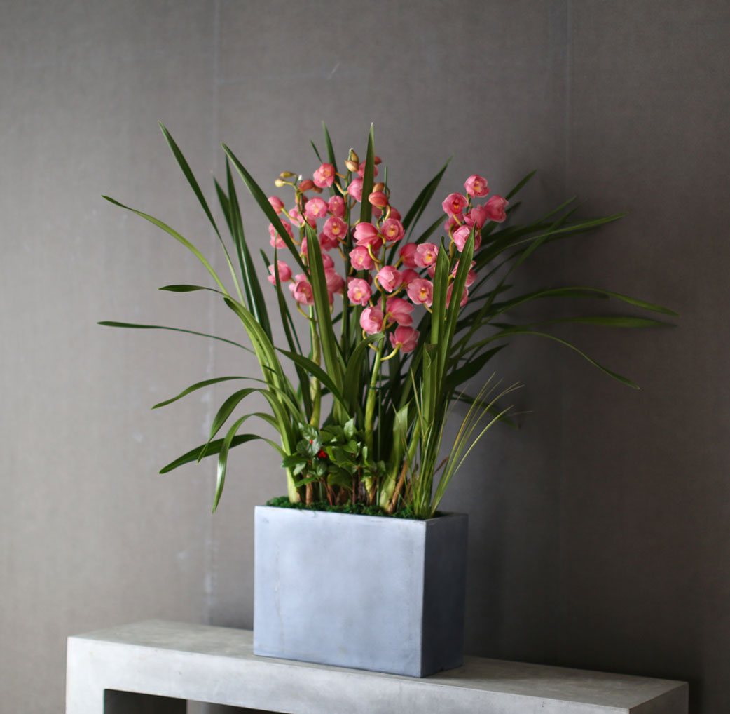 ����� �����մϴ� - �ܿ￡ �� ���� �ŷ����� ��ũ�ɺ��� ���� �ɹ��