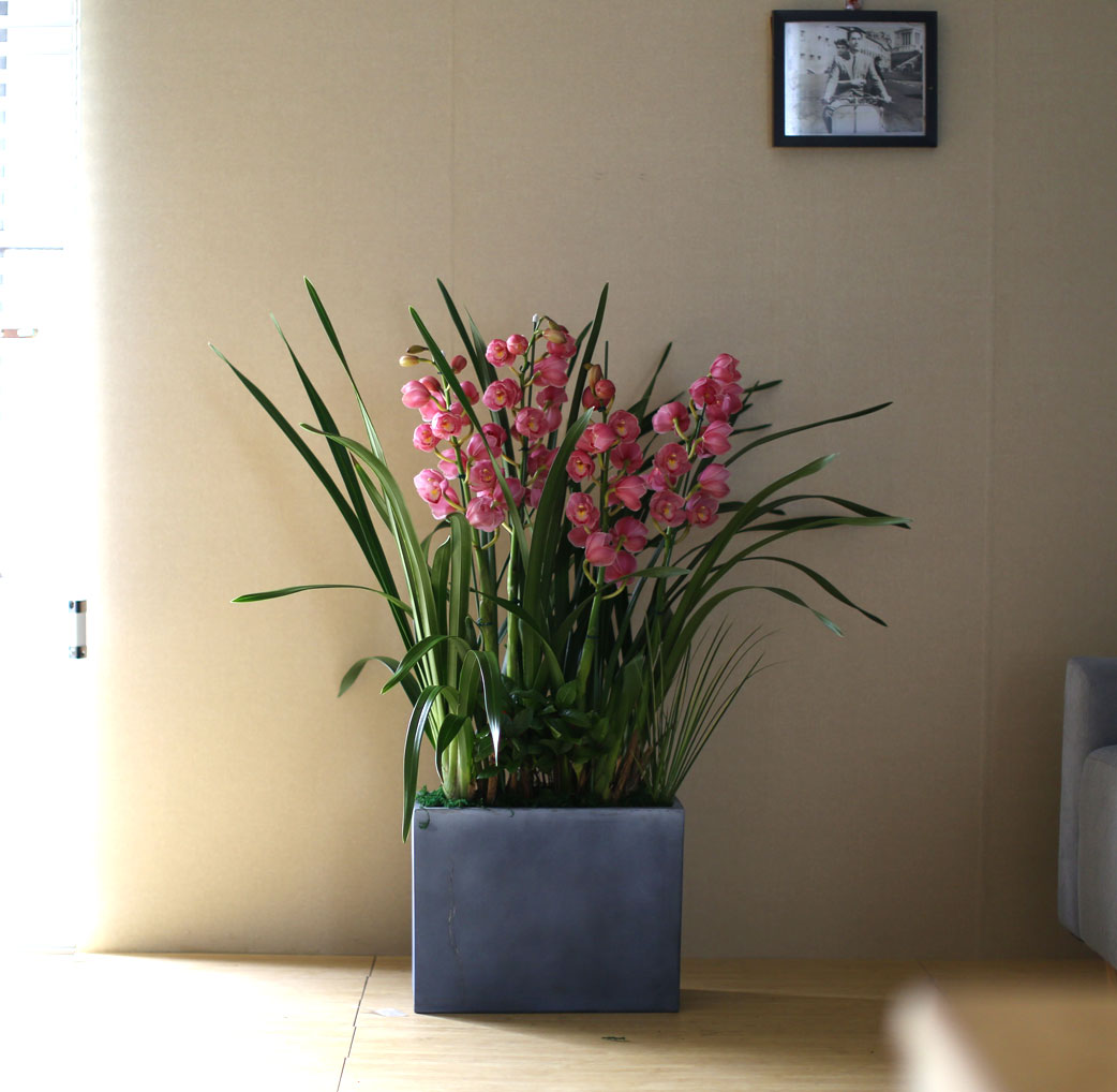 ����� �����մϴ� - �ܿ￡ �� ���� �ŷ����� ��ũ�ɺ��� ���� �ɹ��