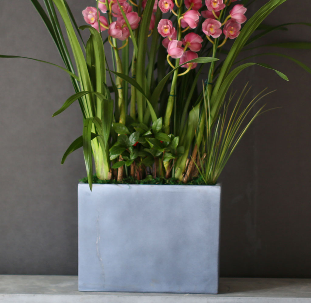 ����� �����մϴ� - �ܿ￡ �� ���� �ŷ����� ��ũ�ɺ��� ���� �ɹ��