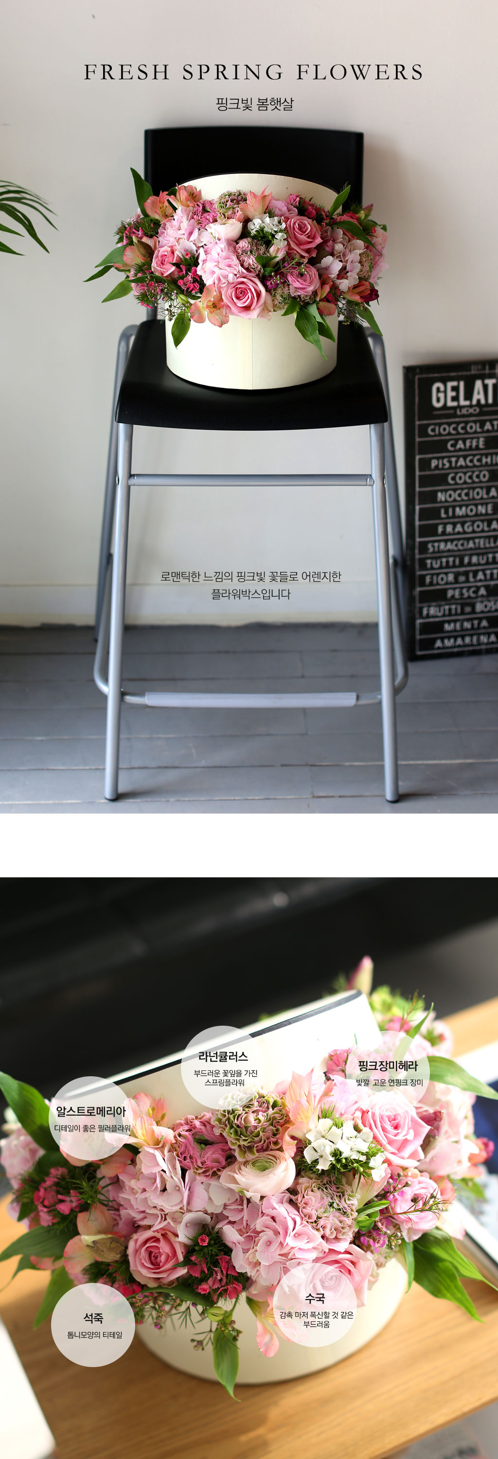 Fresh spring flower ũ ޻  ɹ