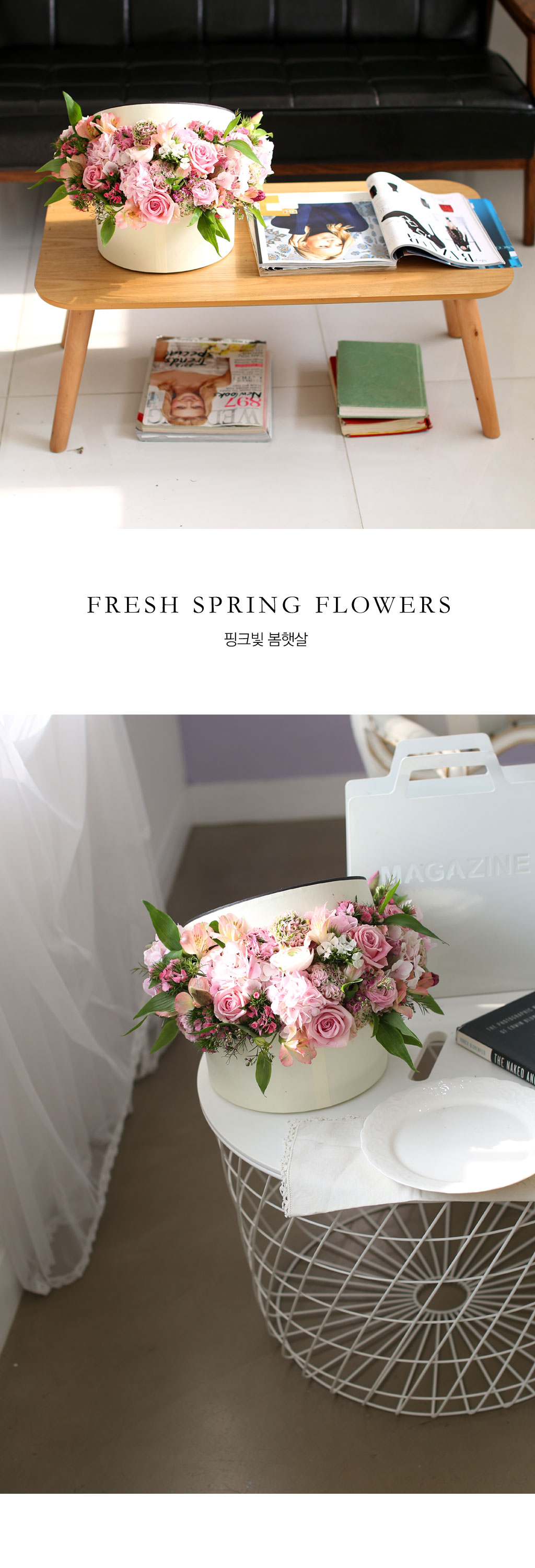 Fresh spring flower ũ ޻  ɹ