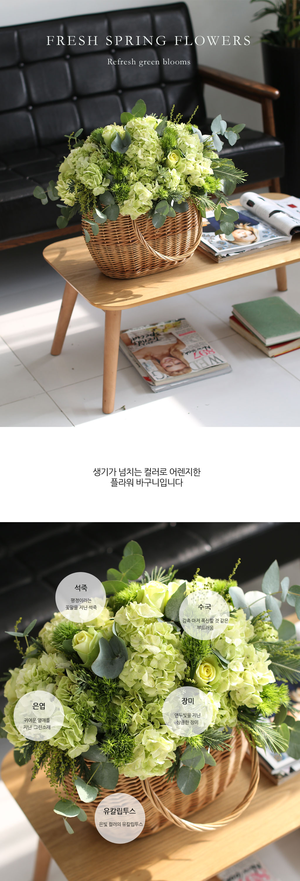 Fresh spring flower Refresh green blooms  ɹ