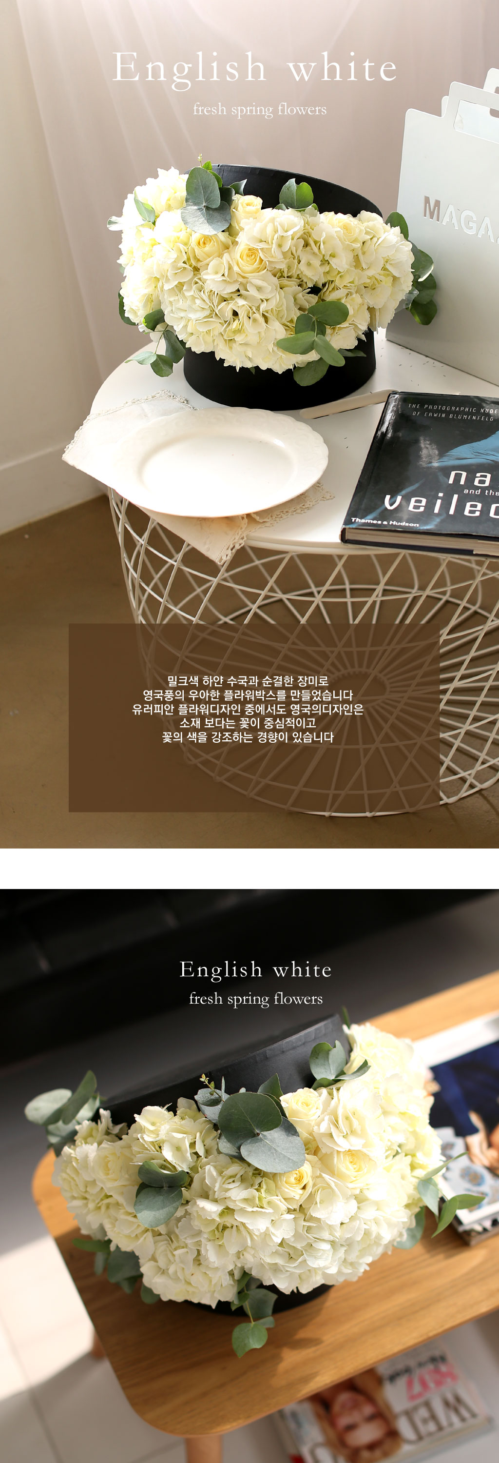 Fresh spring flower English white