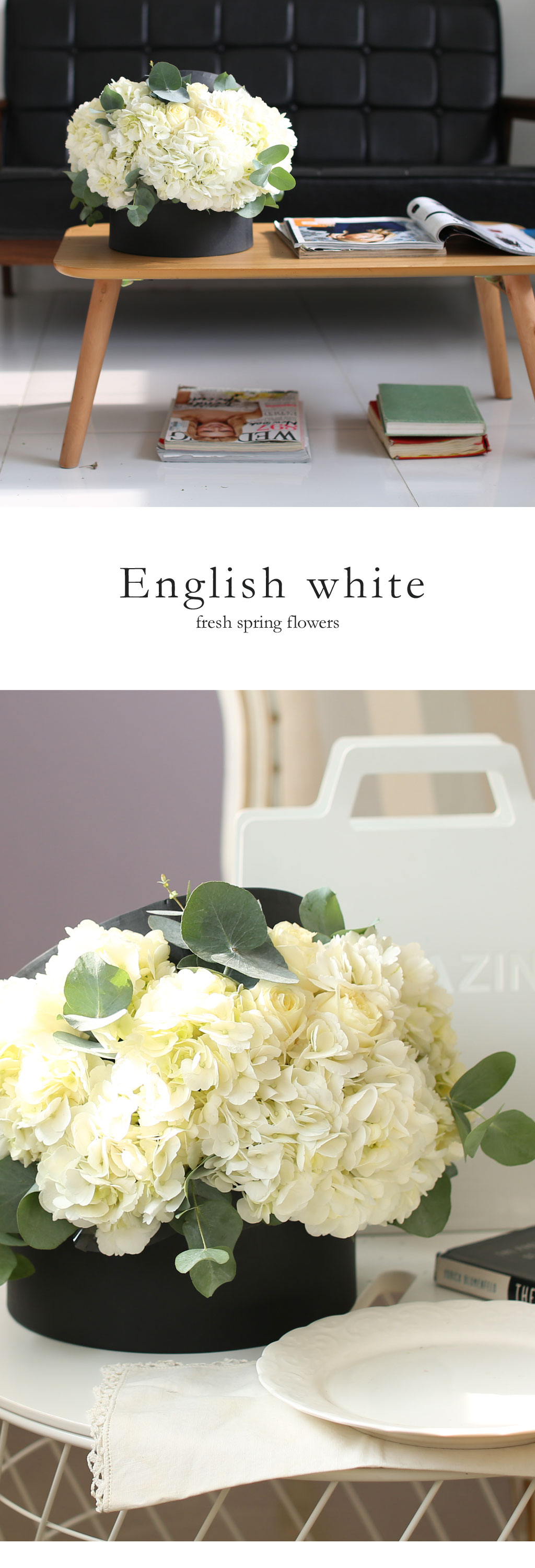 Fresh spring flower English white