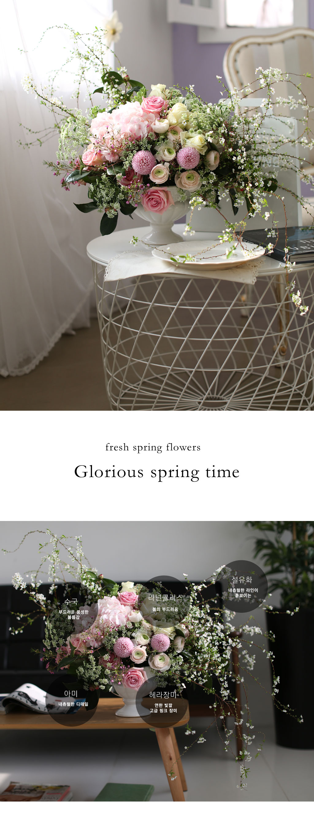 Fresh spring flower Glorious spring time(ȭ   ֽϴ)  ɹ