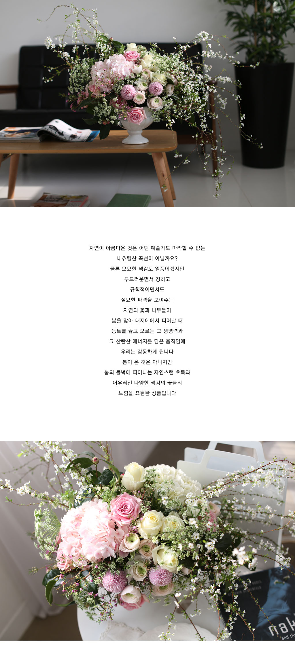 Fresh spring flower Glorious spring time(ȭ   ֽϴ)  ɹ