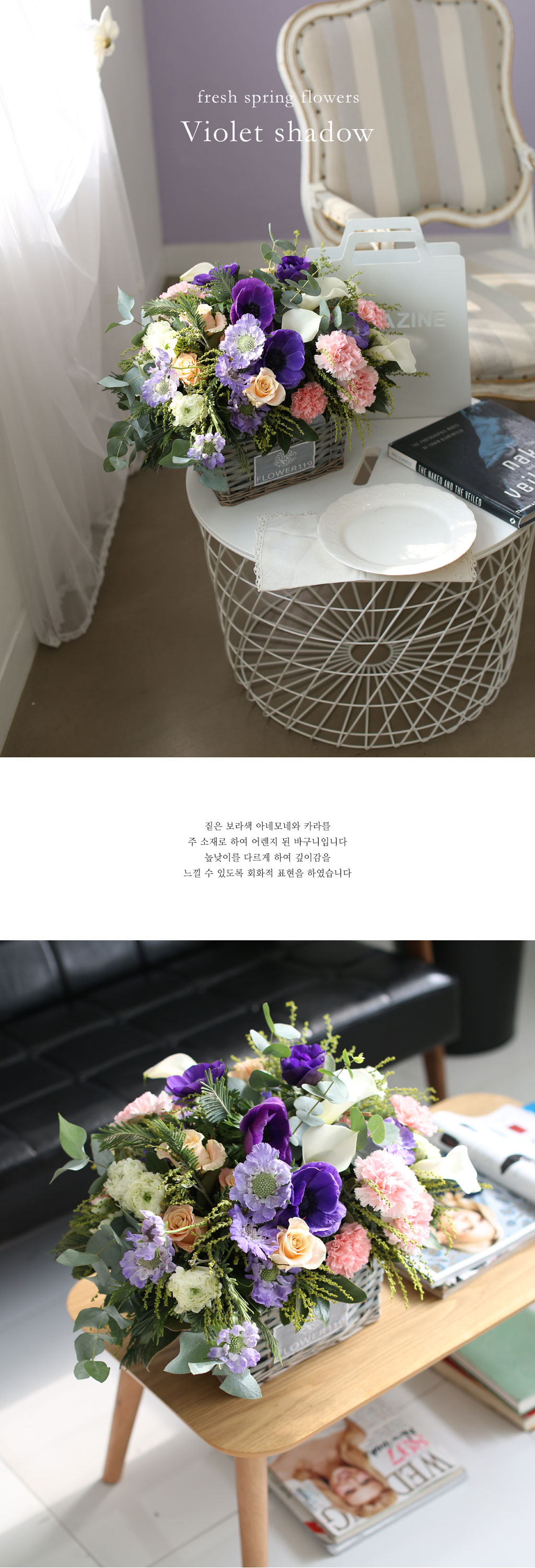 Fresh spring flower Violet shadow ²ÉÁý ²É¹è´Þ