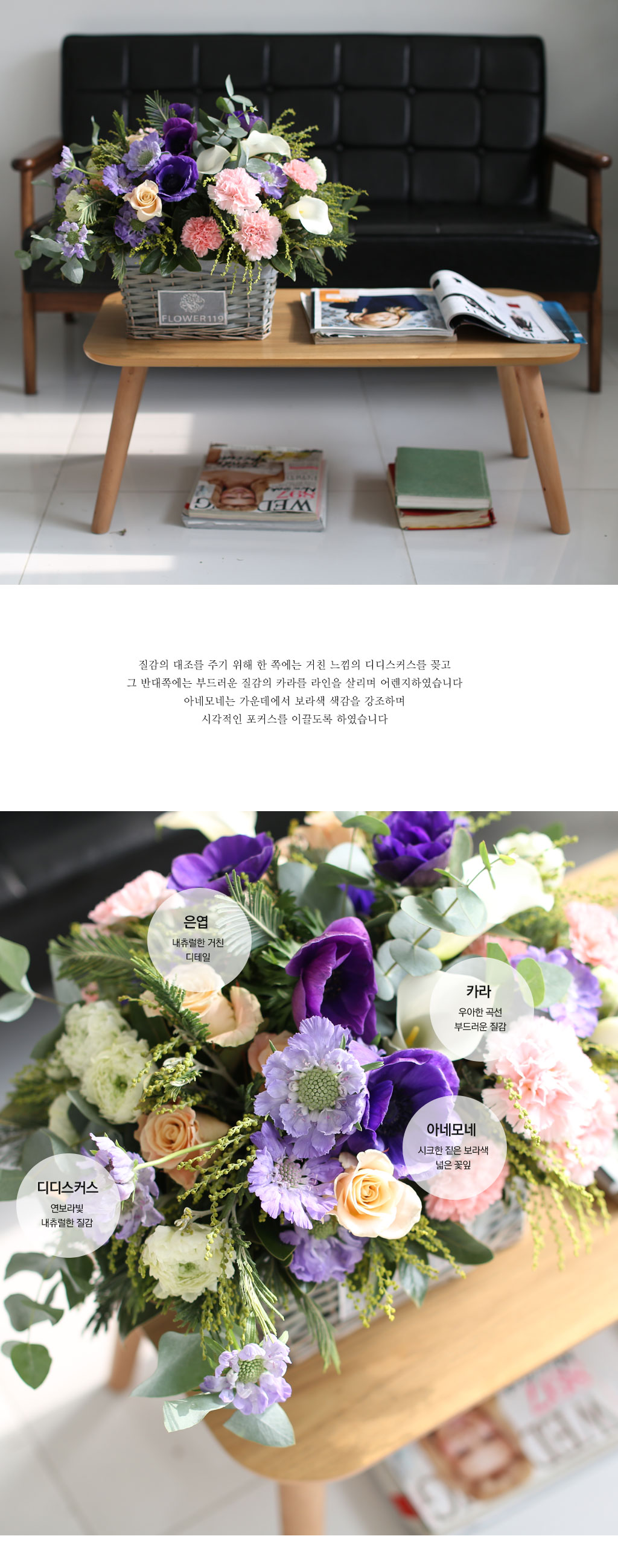 Fresh spring flower Violet shadow ²ÉÁý ²É¹è´Þ