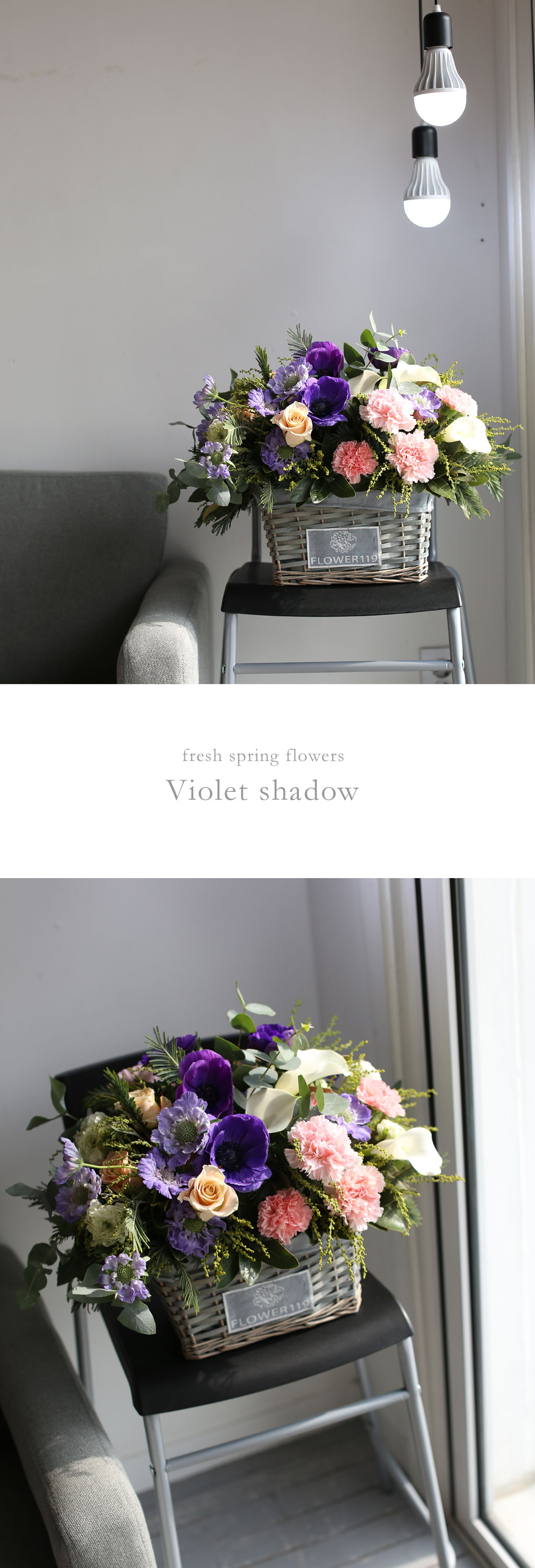 Fresh spring flower Violet shadow ²ÉÁý ²É¹è´Þ