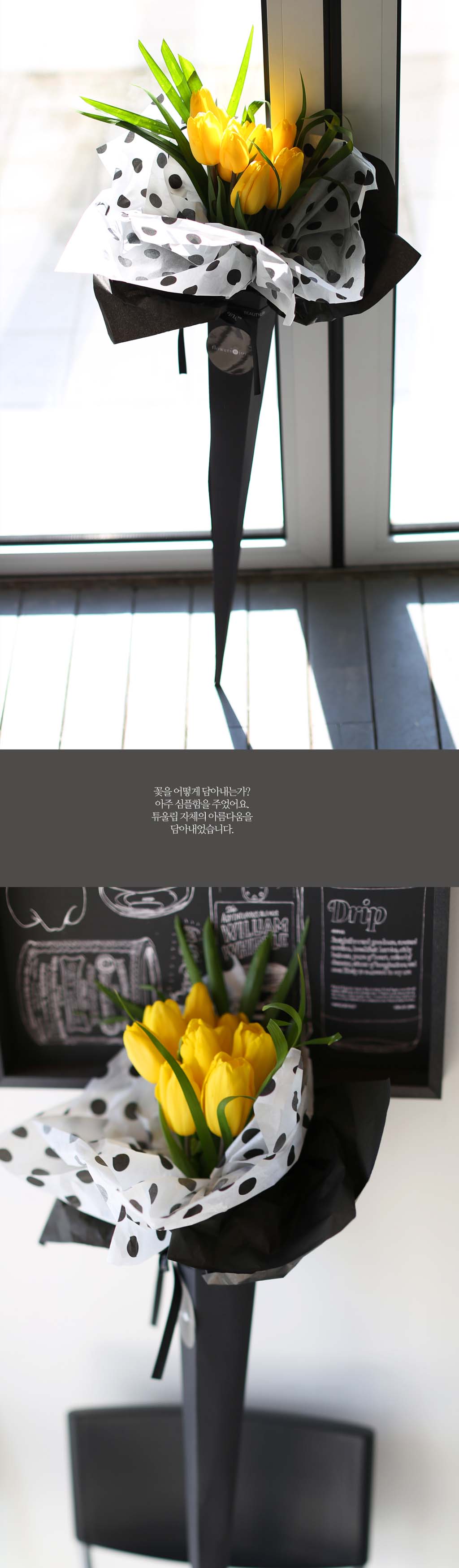 MARCH  - Simple Tulip  ɹ