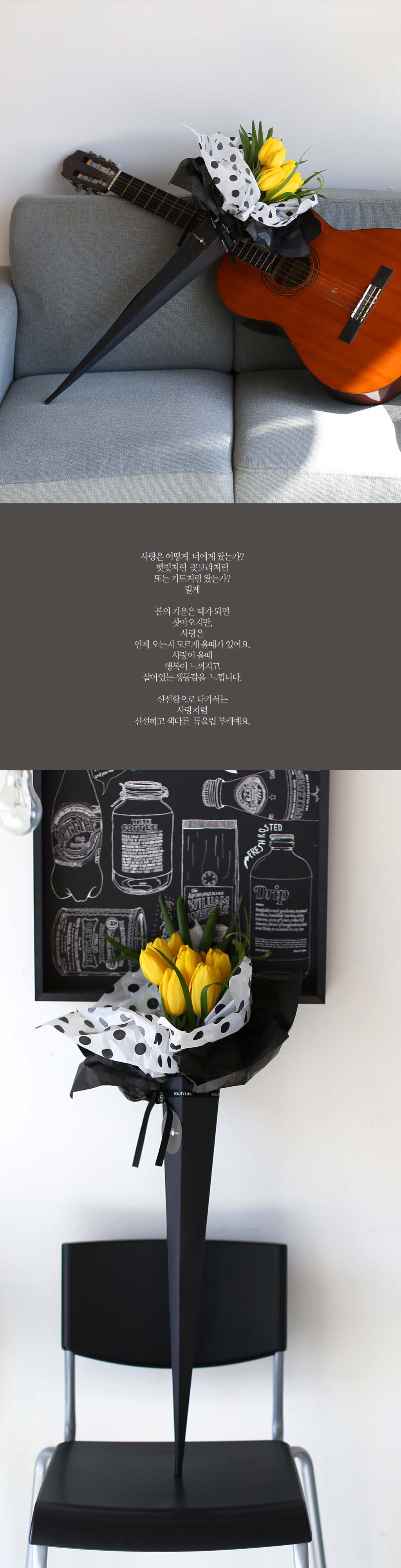 MARCH  - Simple Tulip  ɹ