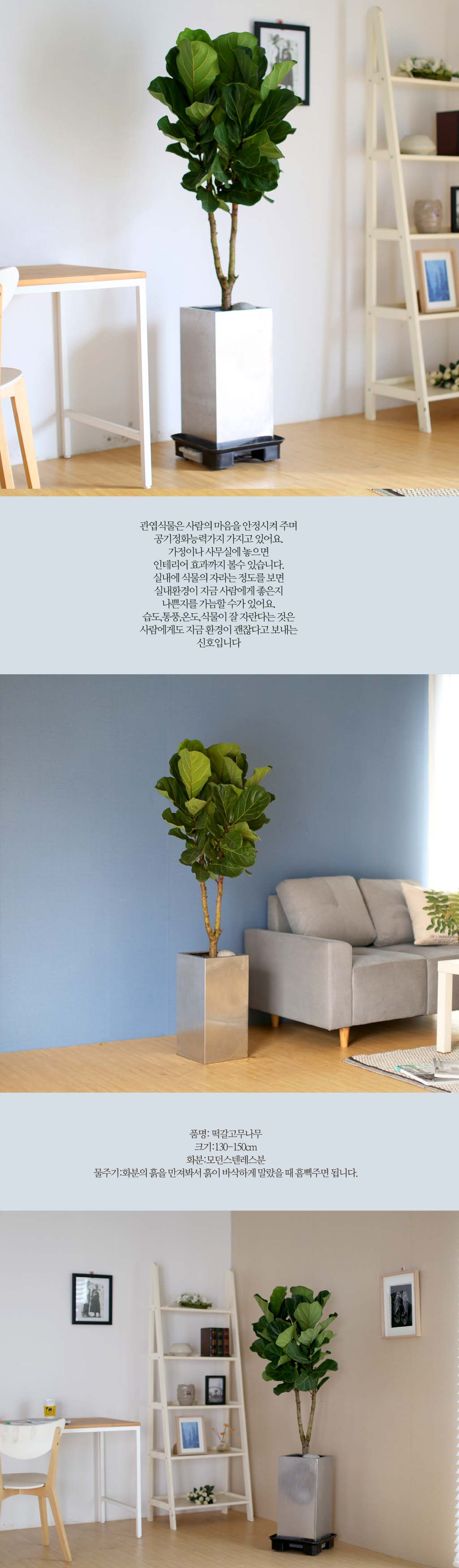 ȯ  ȰҼ ִ ǳȭ -  ٷȭ()  ɹ