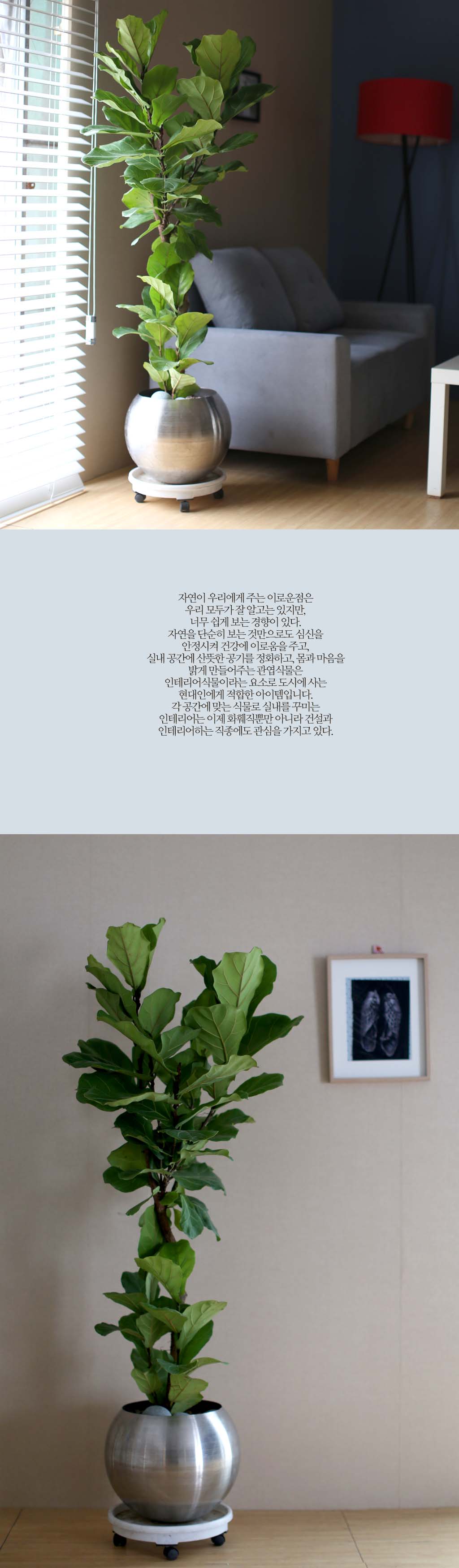 ȯ��� ������ Ȱ���Ҽ� �ִ� �ǳ�ȭ�� - ������������ ������ٷ��� ����ȭ��(��)