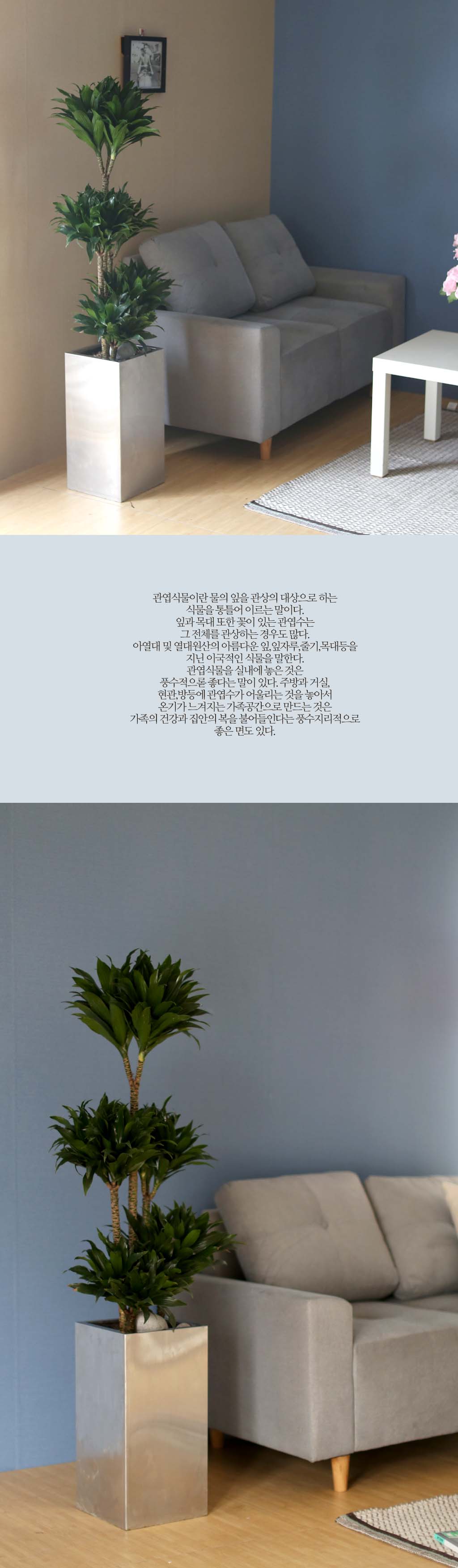 鿪 淯ִ - Ÿ  (*ȭк)  ɹ