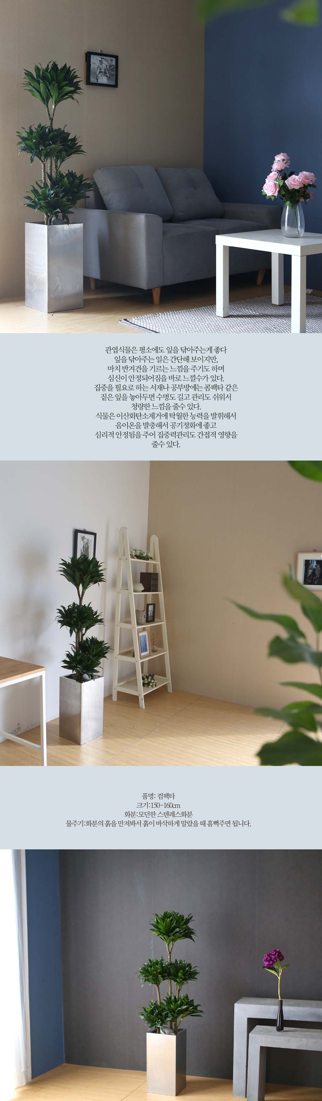 鿪 淯ִ - Ÿ  (*ȭк)  ɹ