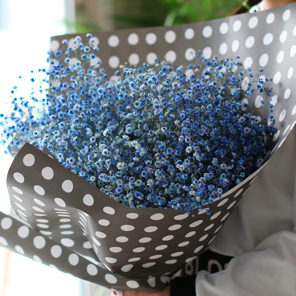 Words - I believe  ɹ