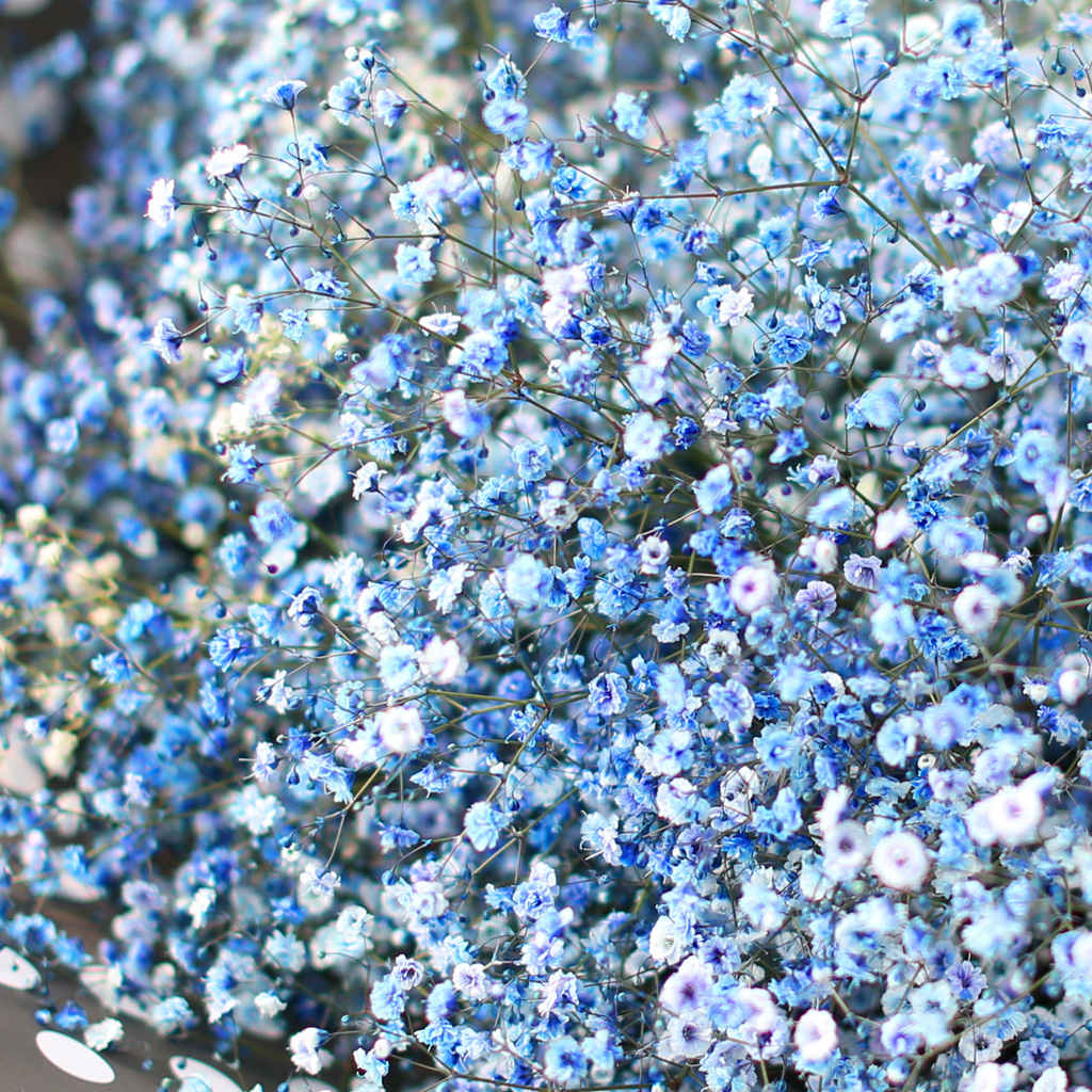 Words - I believe  ɹ