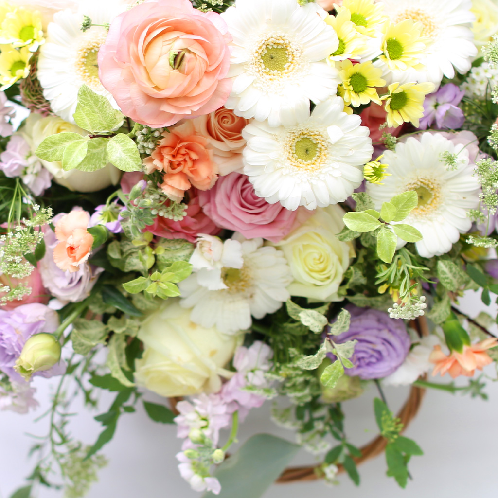 [/ǹ]Flowers & Cake - Happy Birthday to you(纯)  ɹ