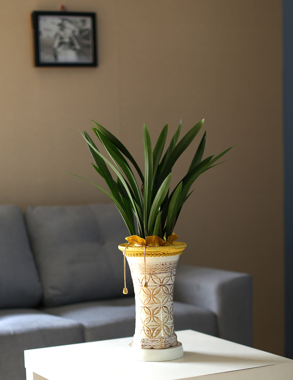 �������Ͽ� ���� ����� - ���� ���� �ɹ��