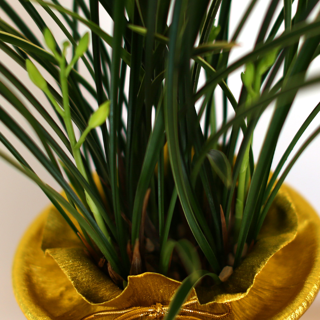 �������Ͽ� ���� ����� - ö��