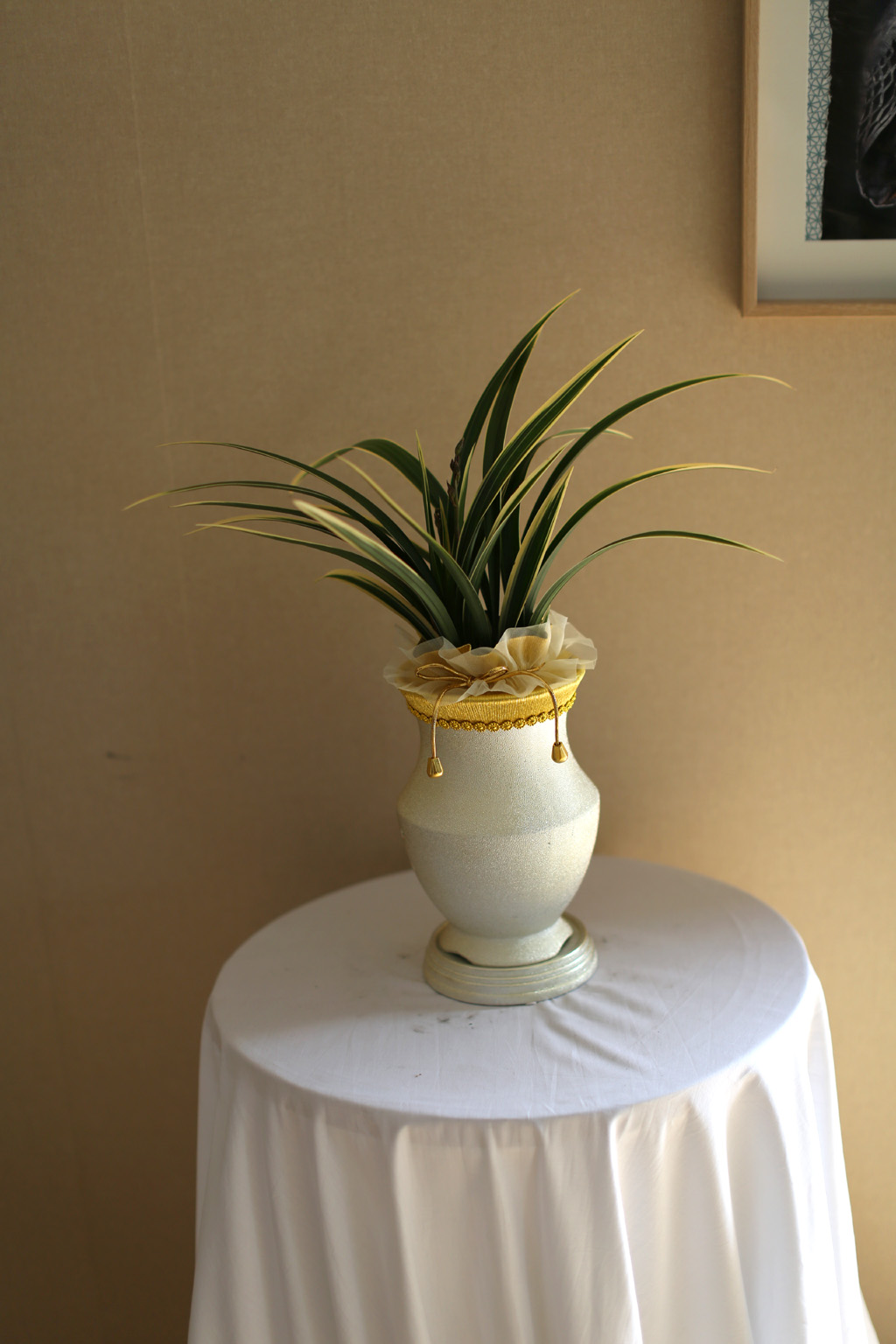 ¸íǰµ¿¾ç¶õ - ¼ö·ÁÇÑ ÀÙ¹«´Ì¿Í µ¿¾çÀû °íȤÀûÀÎ ²ÉÀ»°¡Áø ÅÂÆò¾ç