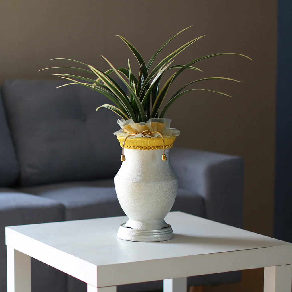 ¸íǰµ¿¾ç¶õ - ¼ö·ÁÇÑ ÀÙ¹«´Ì¿Í µ¿¾çÀû °íȤÀûÀÎ ²ÉÀ»°¡Áø ÅÂÆò¾ç