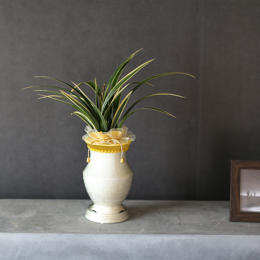 ¸íǰµ¿¾ç¶õ - ¼ö·ÁÇÑ ÀÙ¹«´Ì¿Í µ¿¾çÀû °íȤÀûÀÎ ²ÉÀ»°¡Áø ÅÂÆò¾ç