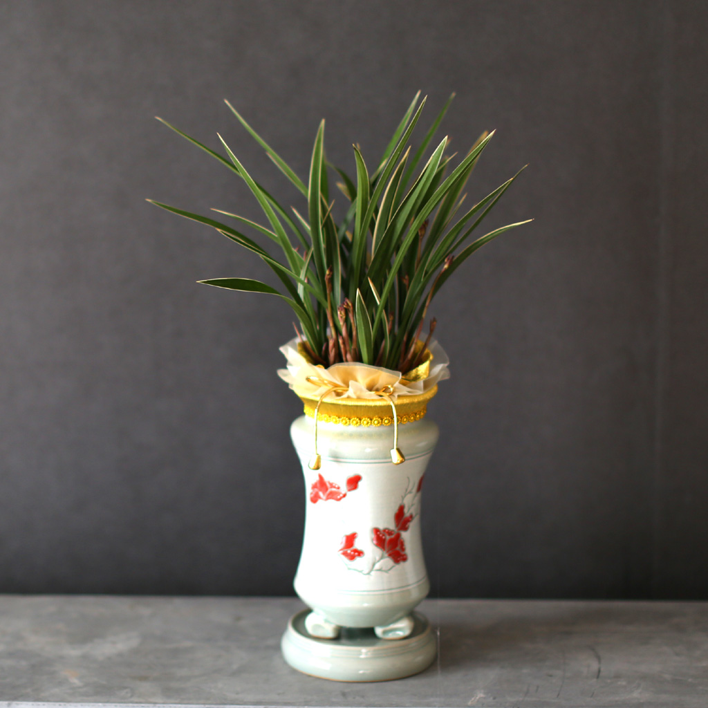 Ͽ   - Ȳ [ȭ⺯]  ɹ