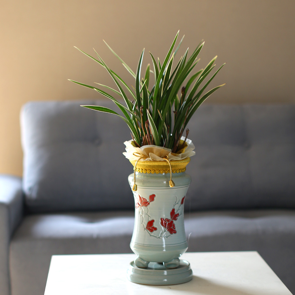 Ͽ   - Ȳ [ȭ⺯]  ɹ