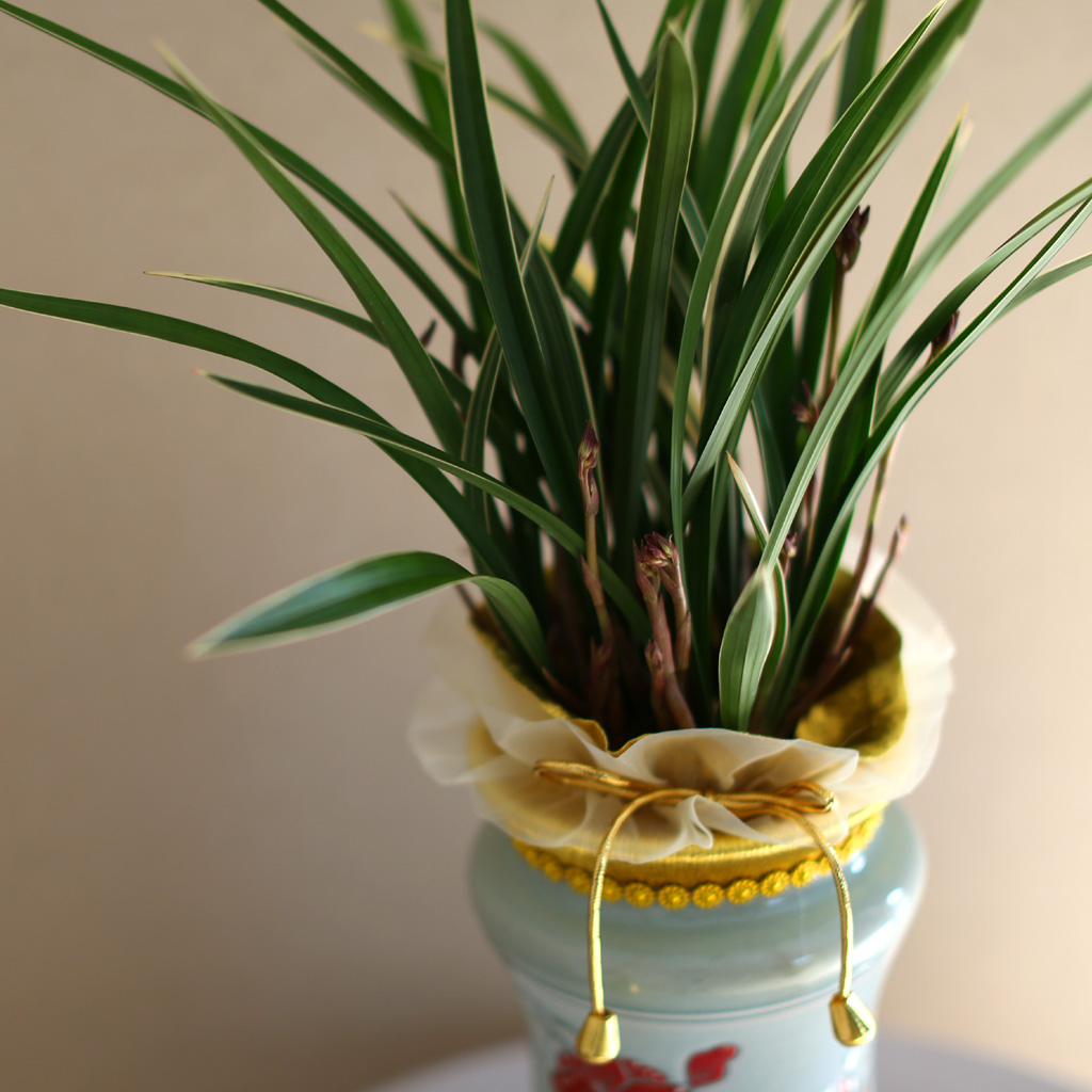 Ͽ   - Ȳ [ȭ⺯]  ɹ